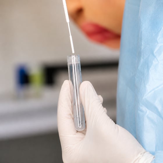 What Makes a High-Quality Silica Supplement