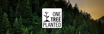 One Tree Planted | Living Silica