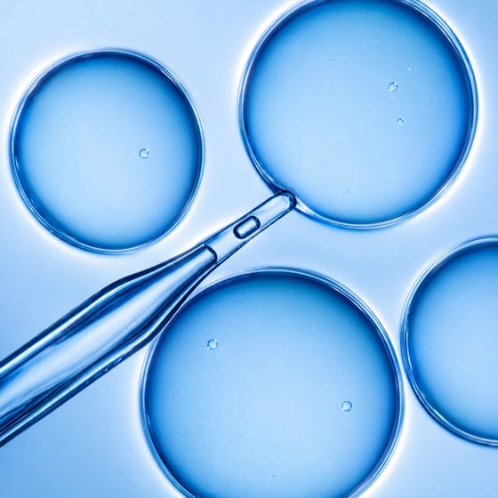 How to Choose the Best Silica Supplement