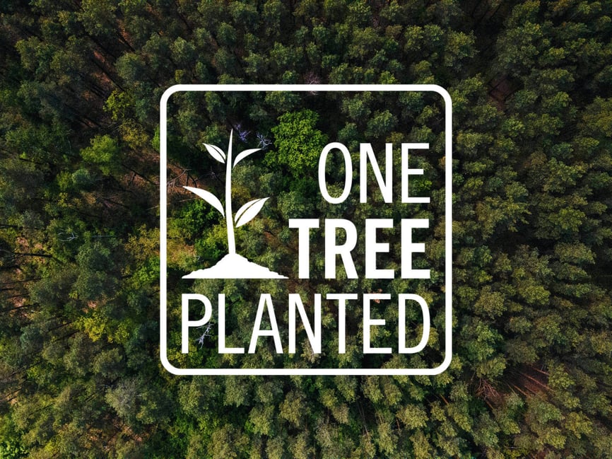 onetreeplanted-1