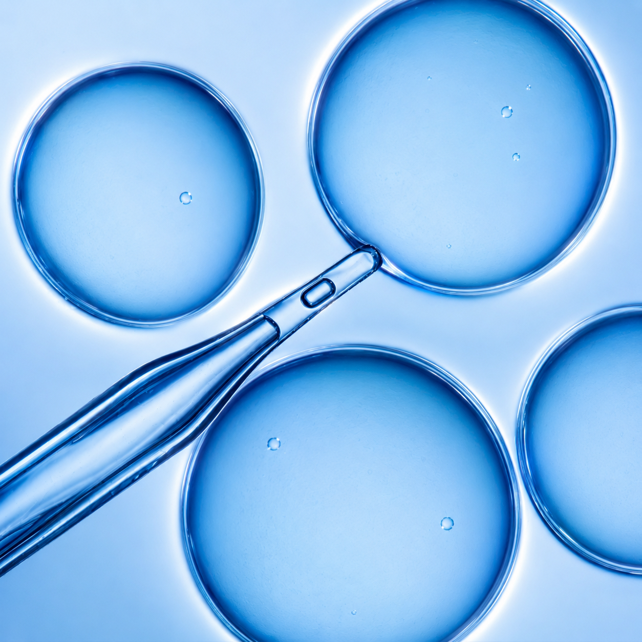 How to Choose the Best Silica Supplement